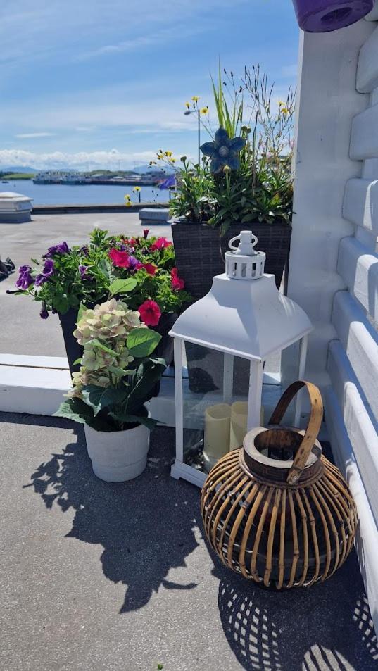 Rosie'S Apartments Killybegs Esterno foto